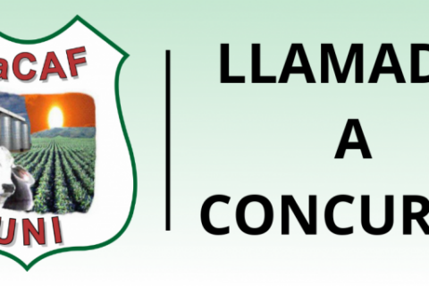 LLAMADO-A-CONCURSOoo