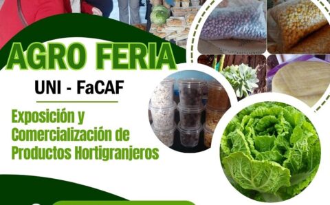anauncios
