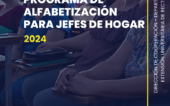 informe anual de Alfabetización