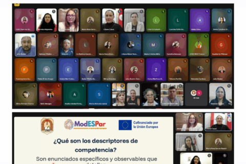 Modespar (12)
