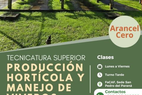 tecnicatura