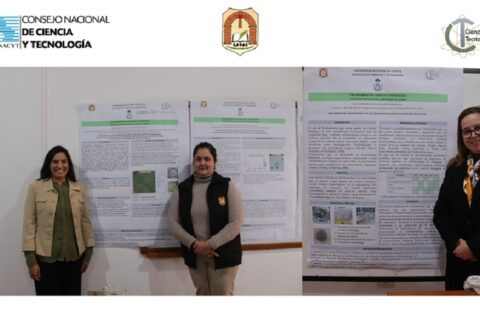 conacyt