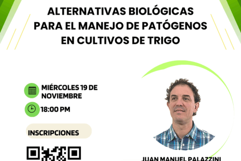 Flyer_taller virtual