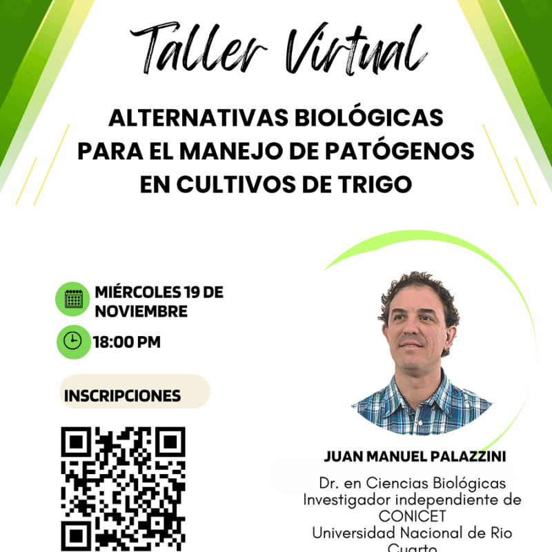 Flyer_taller virtual