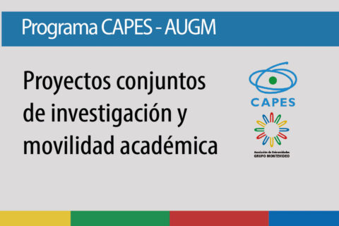 CAPES Flyer