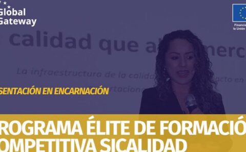 Facyt web