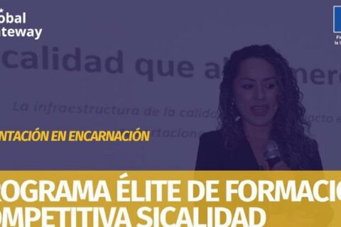 Facyt web