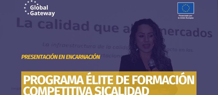 Facyt web